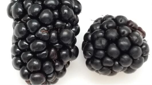 Closeup comparing shiny black and dull blackberries.